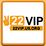 22vipusorg