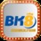 bk8consulting