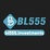 bl555investments