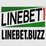linebetbuzz