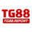 tg88report