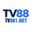 tv881net